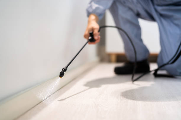Licensed Pest Control service in Divernon, IL - Show Me Pest Control