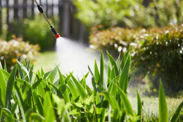 24/7 Emergency Mosquito Control experts in Divernon, IL