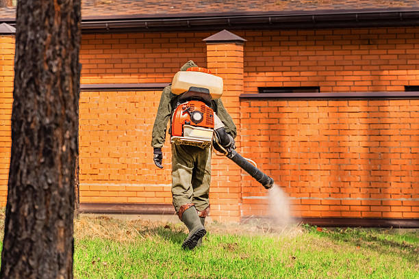 Top rated local Mosquito Control specialists in Divernon, IL
